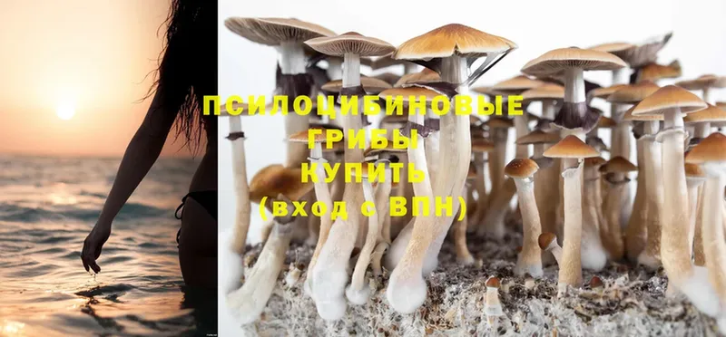 Псилоцибиновые грибы MAGIC MUSHROOMS  Лаишево 